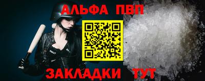шишки Аргун