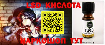 шишки Аргун