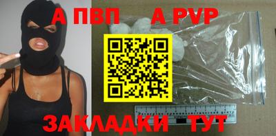 шишки Аргун