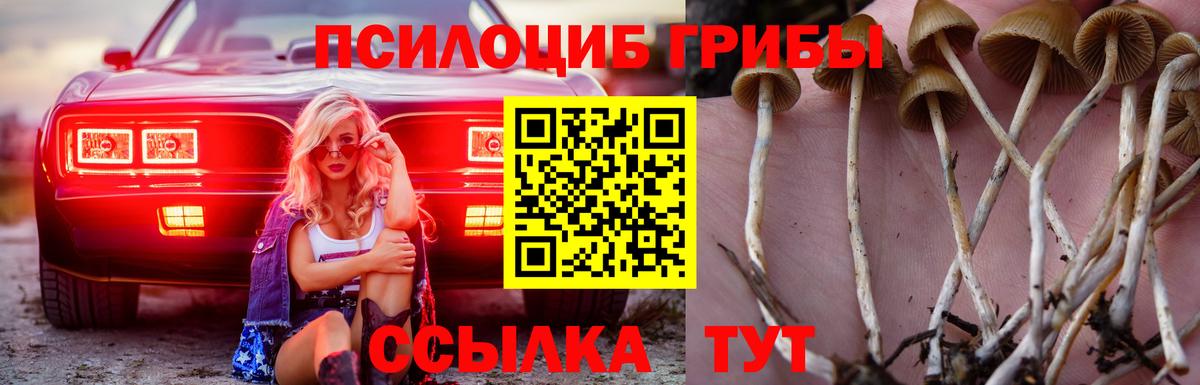 Галлюциногенные грибы Cubensis  Вход с VPN  Белорецк  продажа наркотиков  Псилоцибиновые грибы ЛСД 
